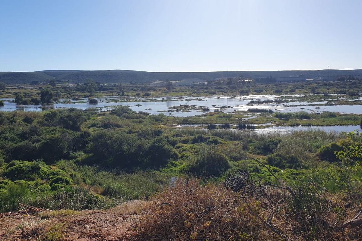 FARM/GRAZE LAND IN THE HEART OF MANOR HEIGHTS AVAILABLE! - Photo 2