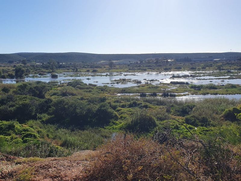 FARM/GRAZE LAND IN THE HEART OF MANOR HEIGHTS AVAILABLE! - Photo 2