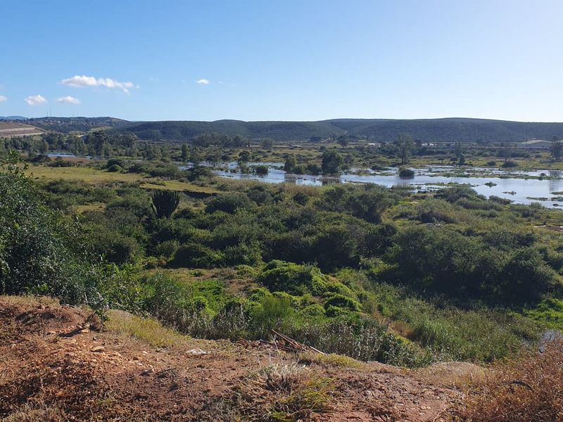 FARM/GRAZE LAND IN THE HEART OF MANOR HEIGHTS AVAILABLE! - Photo 3