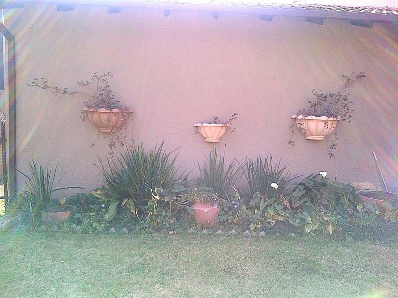 A garden area featuring a rendered wall with mounted planters and a landscaped garden bed with various shrubs.