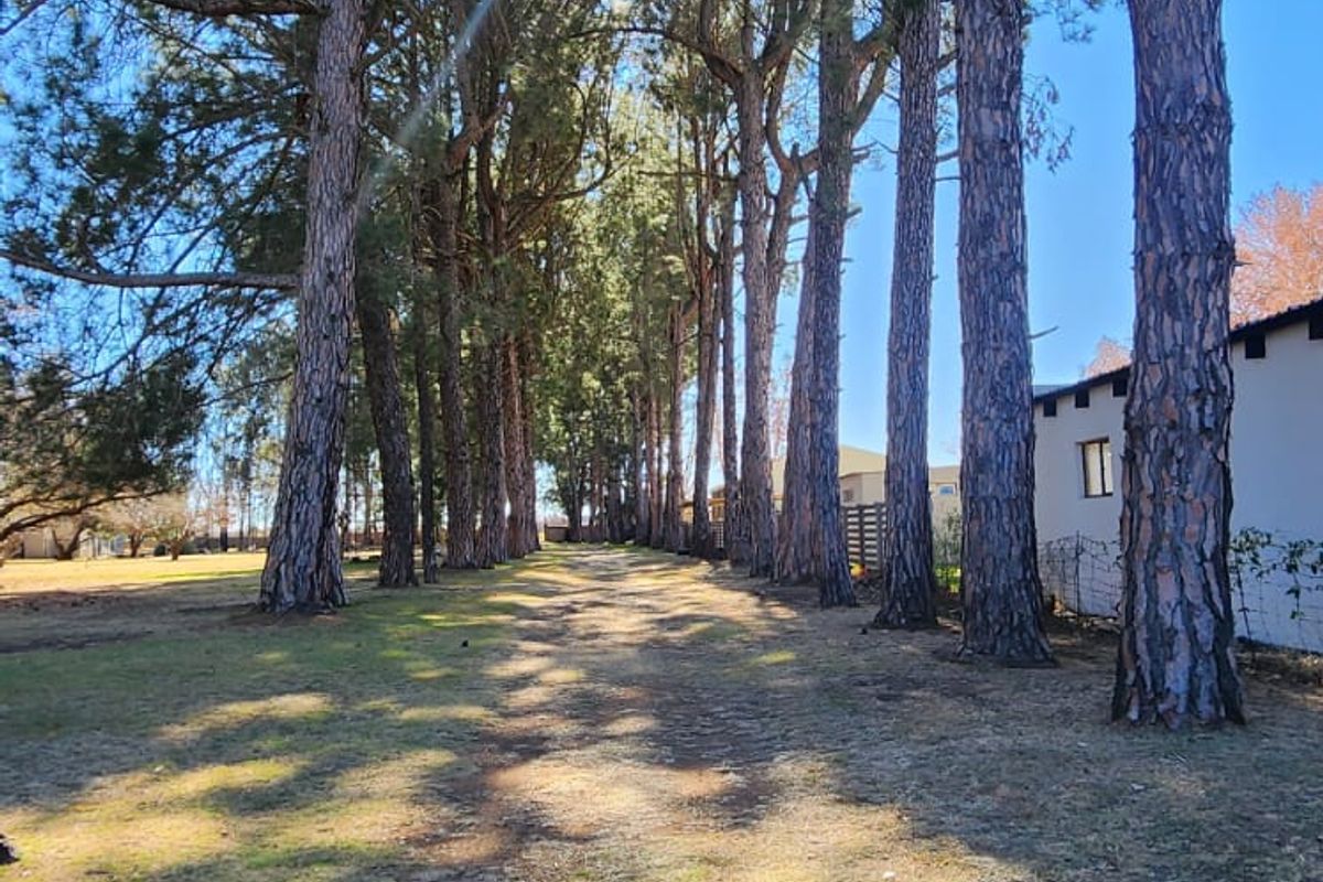 Step into a Riverfront Paradise Escape to tranquility in this EXCLUSIVE RIVERFRONT HAVEN. - Photo 3