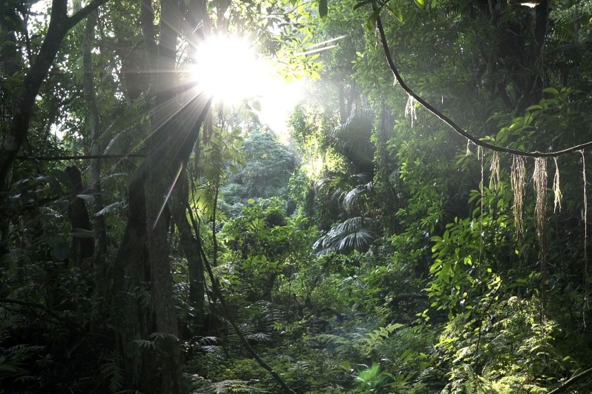 4-Bedroom Retreat in Elaleni Lifestyle Estate - Photo 2