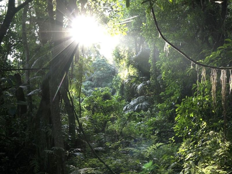 4-Bedroom Retreat in Elaleni Lifestyle Estate - Photo 2