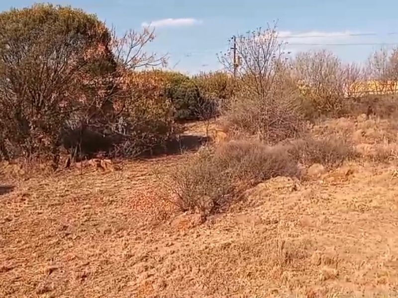 Contact me as soon as possible to avoid disappointment!! - Photo 7