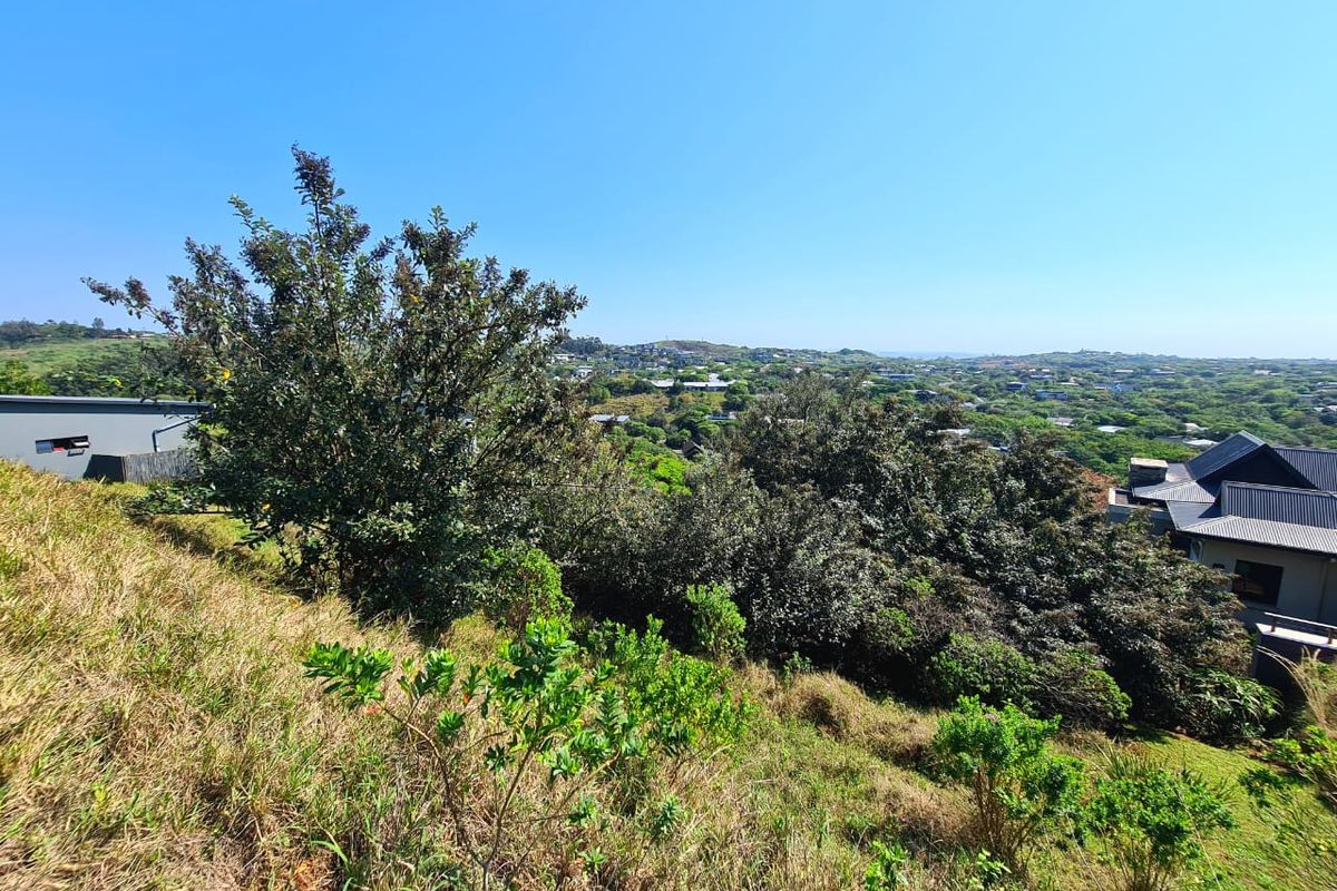 Embrace the Simbithi Lifestyle: 1500 sqm Vacant Land with Forest and Dam Views - Photo 3