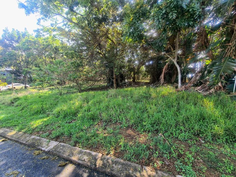 Embrace the Simbithi Lifestyle: 1040 sqm Vacant Land - Photo 10