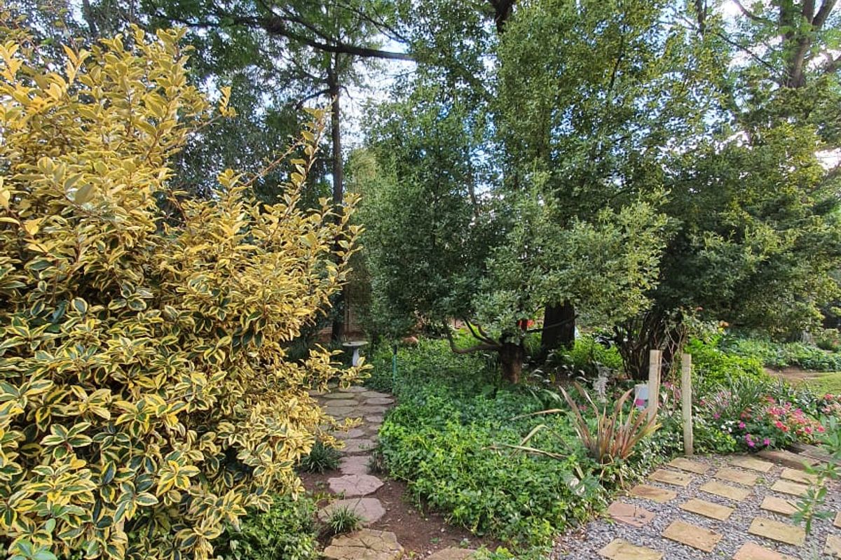 INVITING, PRICED TO SELL, AND LOVELY FAMILY HOME FOR SALE IN THREE RIVERS EAST. - Photo 3