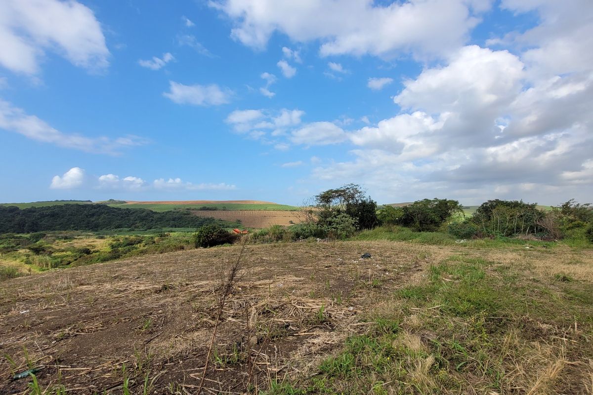 Prime Farmland with River Border - Photo 2