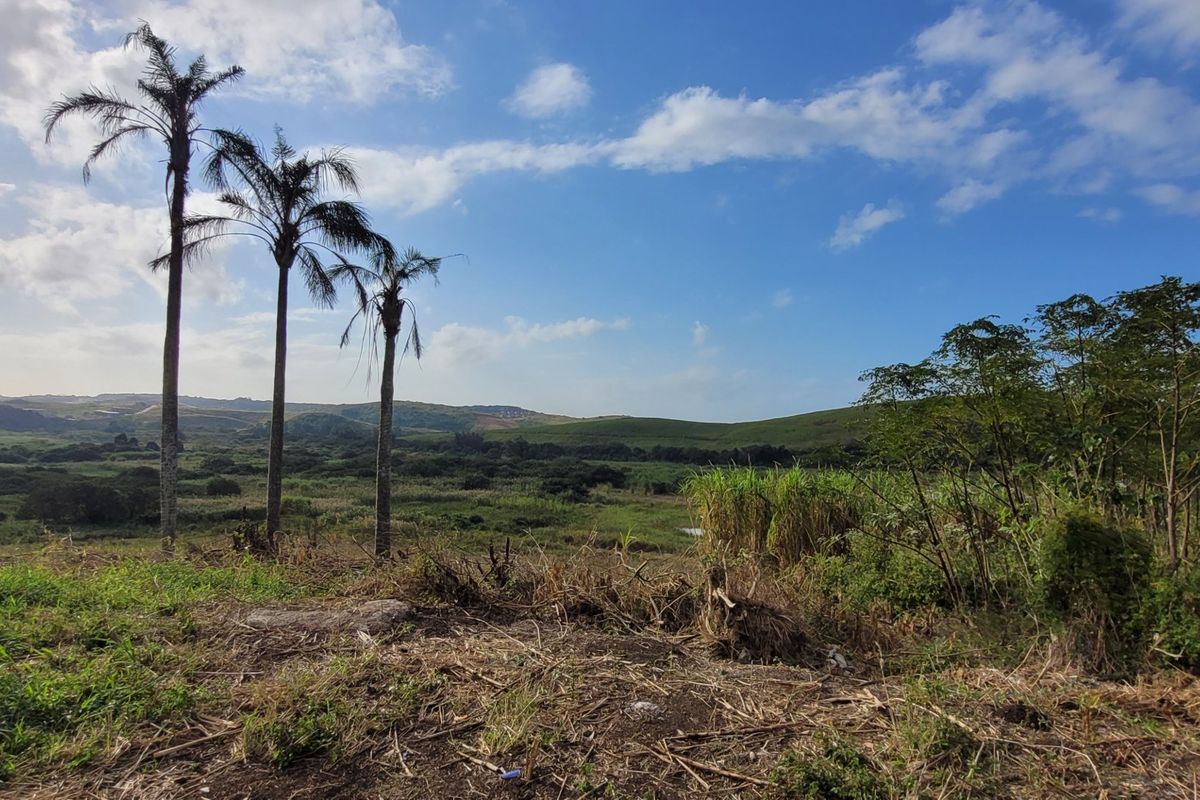 Prime Farmland with River Border - Photo 5