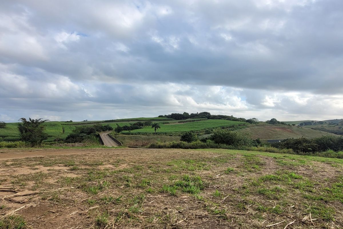 Prime Farmland with River Border - Photo 4