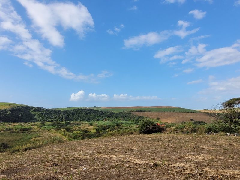 Expansive rural landscape view showcasing rolling hills, natural vegetation, and open farmland under a clear blue sky.