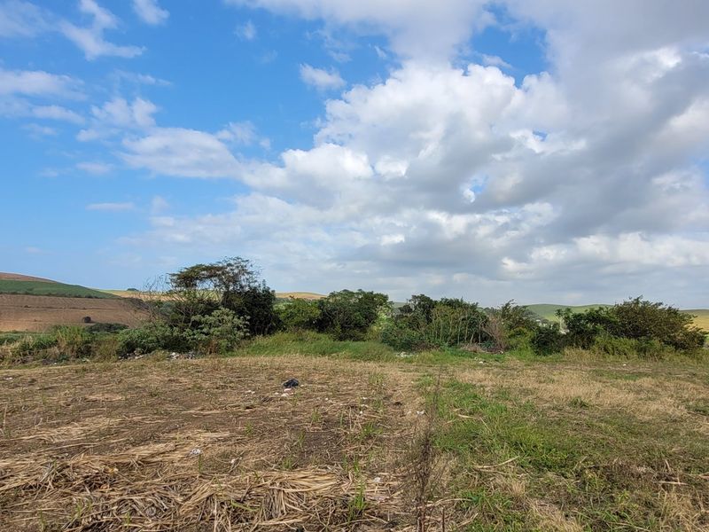 Expansive open farmland featuring rolling hills and natural vegetation, offering a scenic landscape view.