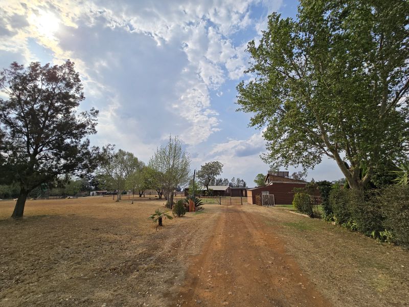 A wide-angle view of a farm property featuring a dirt driveway leading towards the main buildings, surrounded by open fields and mature trees.