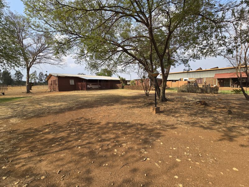 Spacious rear yard area featuring mature trees, open ground, and views of the farm outbuildings with corrugated metal roofing and timber siding.