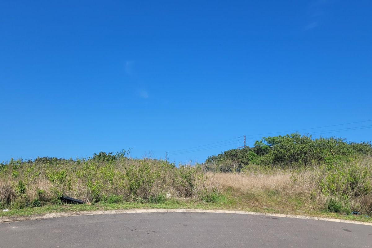 Opportunity to build your own Dream Home - Photo 4