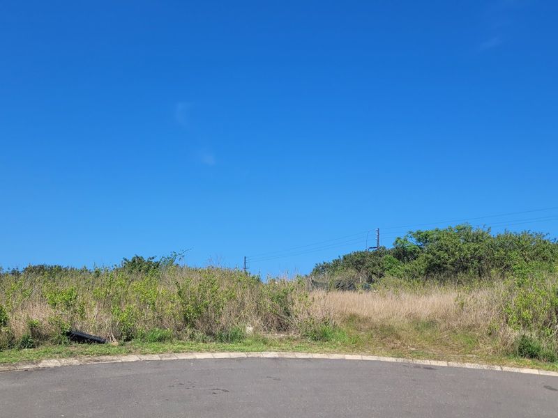 Opportunity to build your own Dream Home - Photo 4