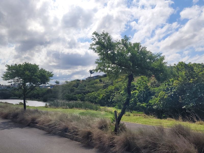 Opportunity to build your own Dream Home - Photo 9