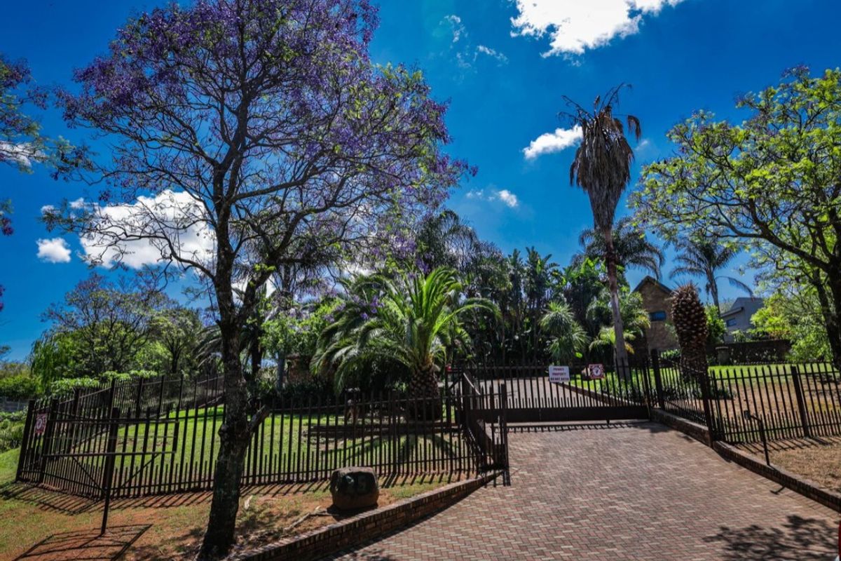 Erica street 5 Bedroom Family Home designed for entertaining - Photo 4