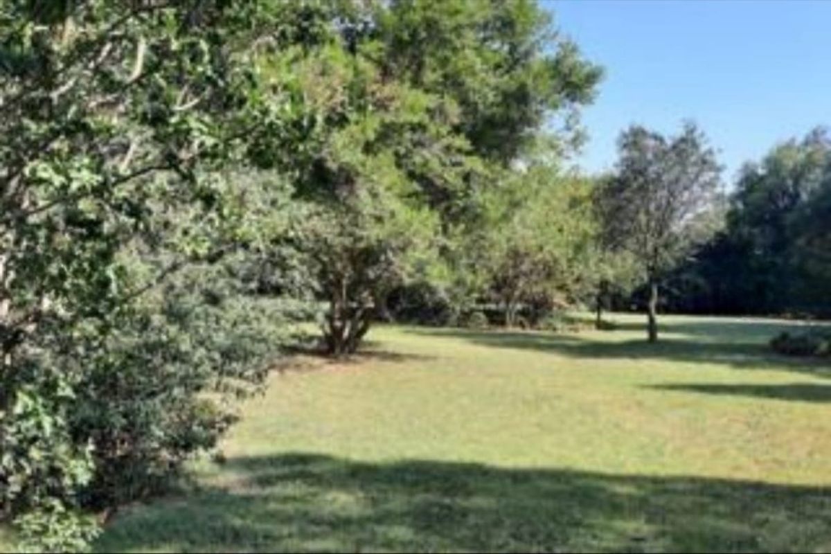 2.14 Ha plot for sale for a BARGAIN!!! - Photo 5