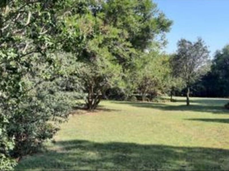 2.14 Ha plot for sale for a BARGAIN!!! - Photo 5