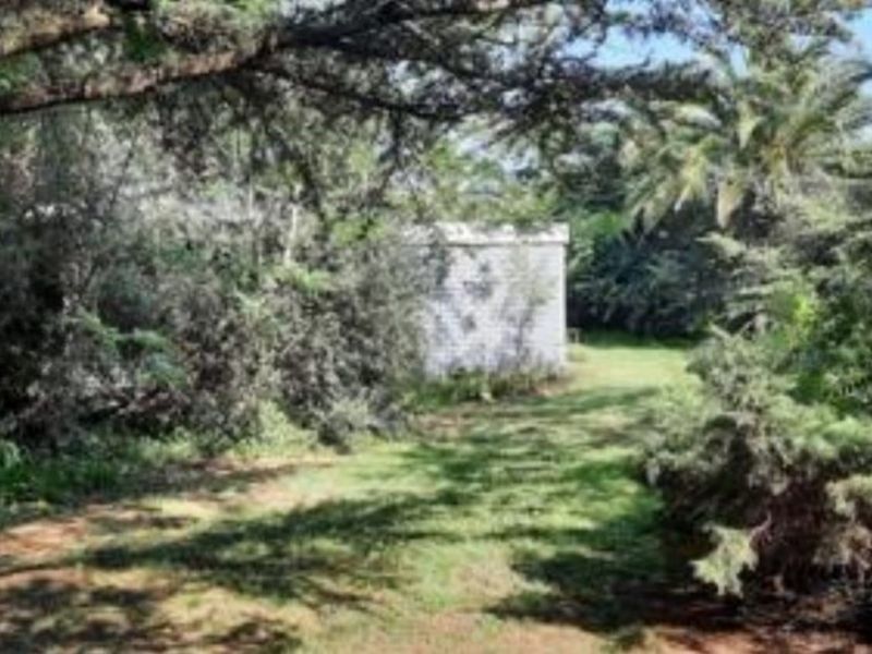 2.14 Ha plot for sale for a BARGAIN!!! - Photo 8