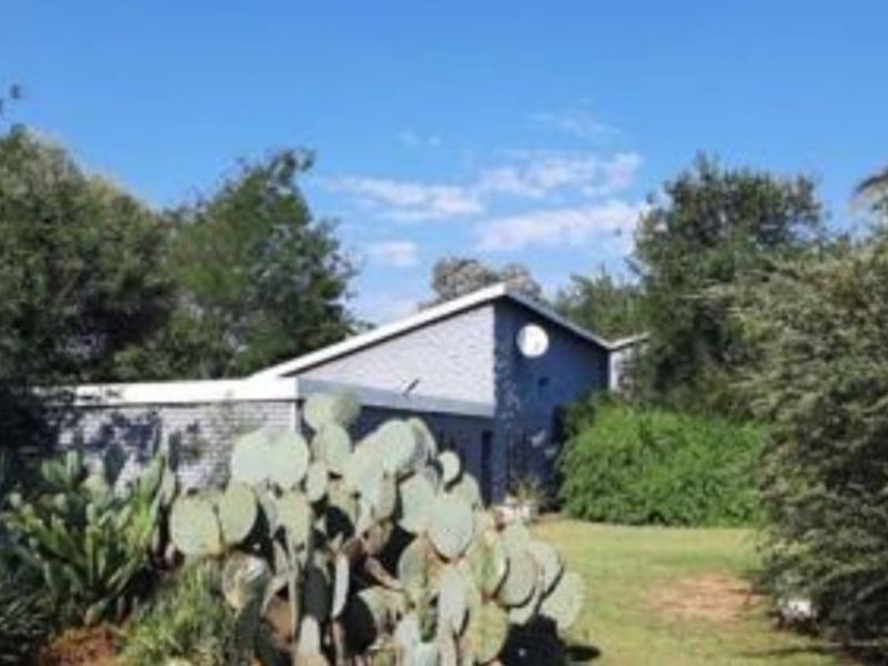 2.14 Ha plot for sale for a BARGAIN!!! - Photo 7