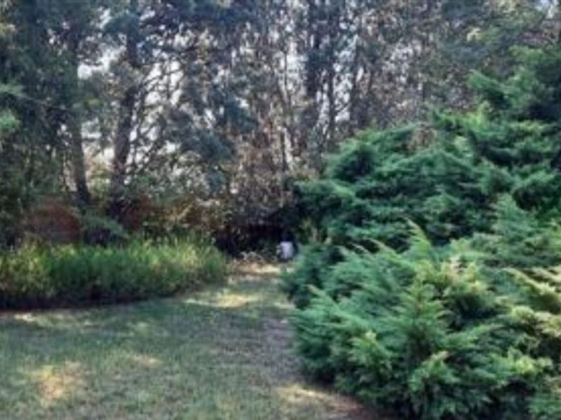 2.14 Ha plot for sale for a BARGAIN!!! - Photo 6