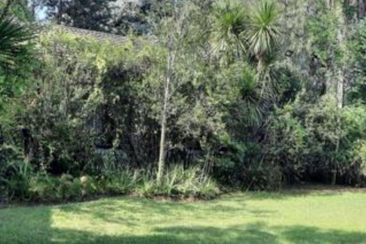 2.14 Ha plot for sale for a BARGAIN!!! - Photo 3