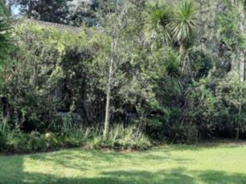 2.14 Ha plot for sale for a BARGAIN!!! - Photo 3