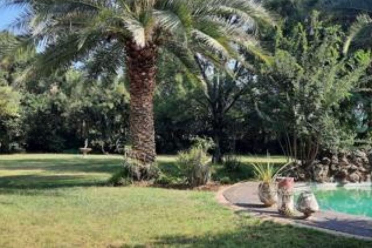 2.14 Ha plot for sale for a BARGAIN!!! - Photo 4