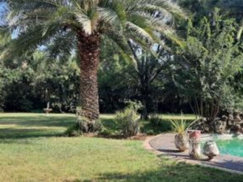 2.14 Ha plot for sale for a BARGAIN!!! - Photo 4