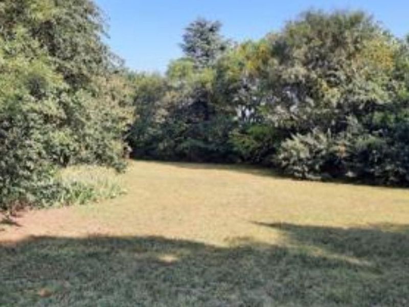 2.14 Ha plot for sale for a BARGAIN!!! - Photo 9