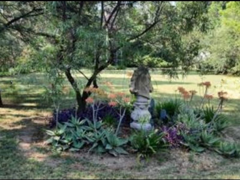 2.14 Ha plot for sale for a BARGAIN!!! - Photo 10