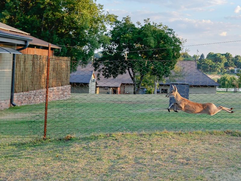 Unparalleled Lifestyle Awaits at Your Dream Retreat – Exclusive 20,200 m2 Property!** - Photo 5