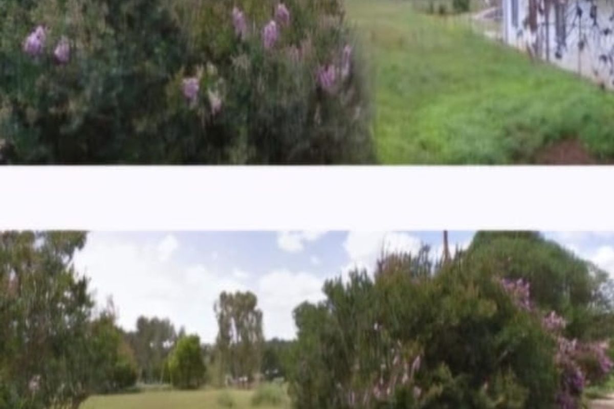 Vacant stand for sale in Deneysville - Photo 2