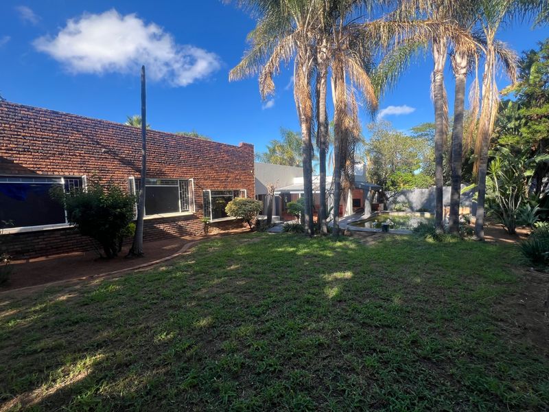 Spacious rear garden featuring a swimming pool, mature palm trees, and a classic face-brick exterior facade.