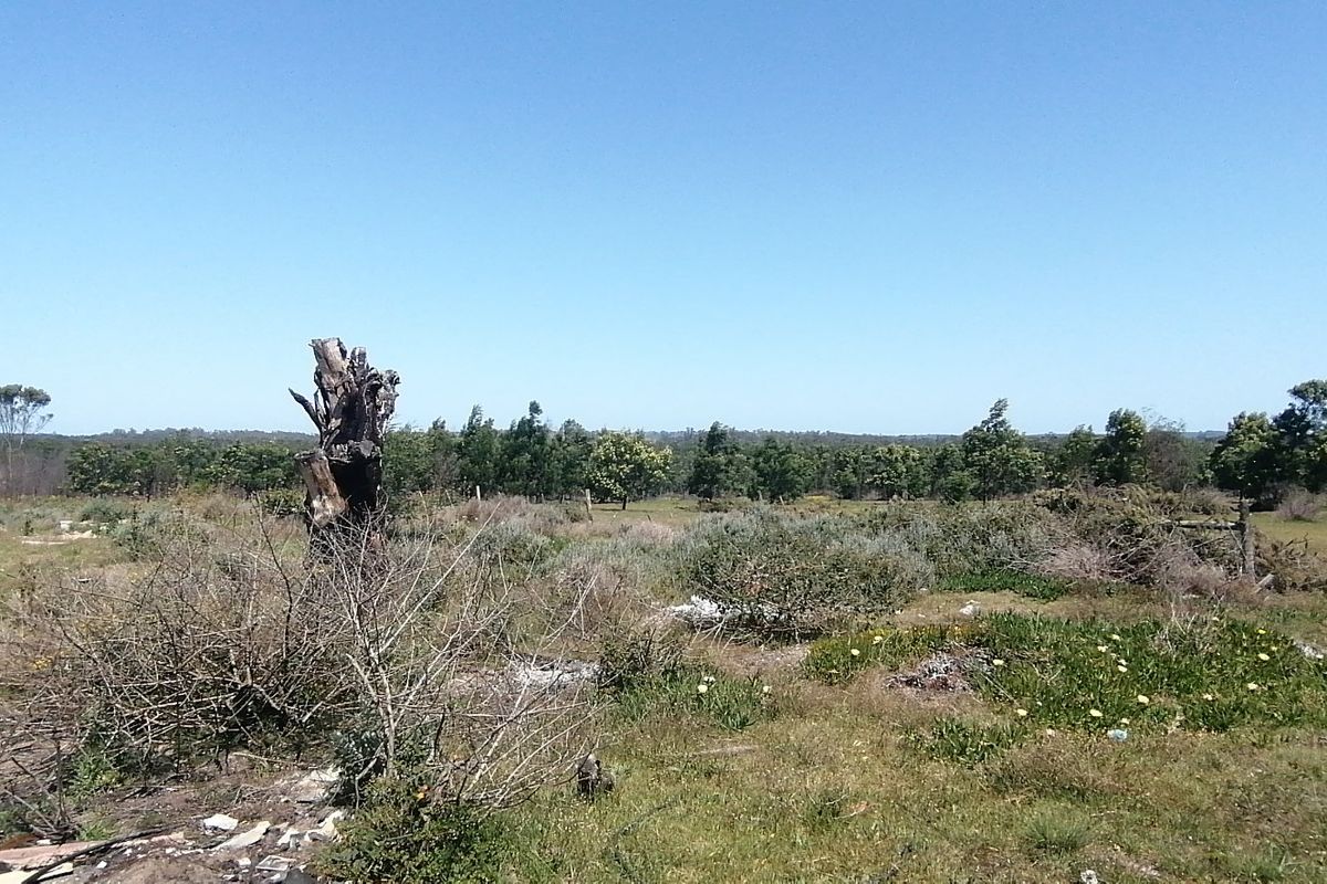 A wide-angle view of the expansive farm landscape featuring natural vegetation, open fields, and perimeter fencing under a clear blue sky.