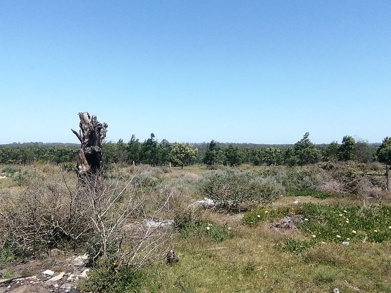 A wide-angle view of the expansive farm landscape featuring natural vegetation, open fields, and perimeter fencing under a clear blue sky.