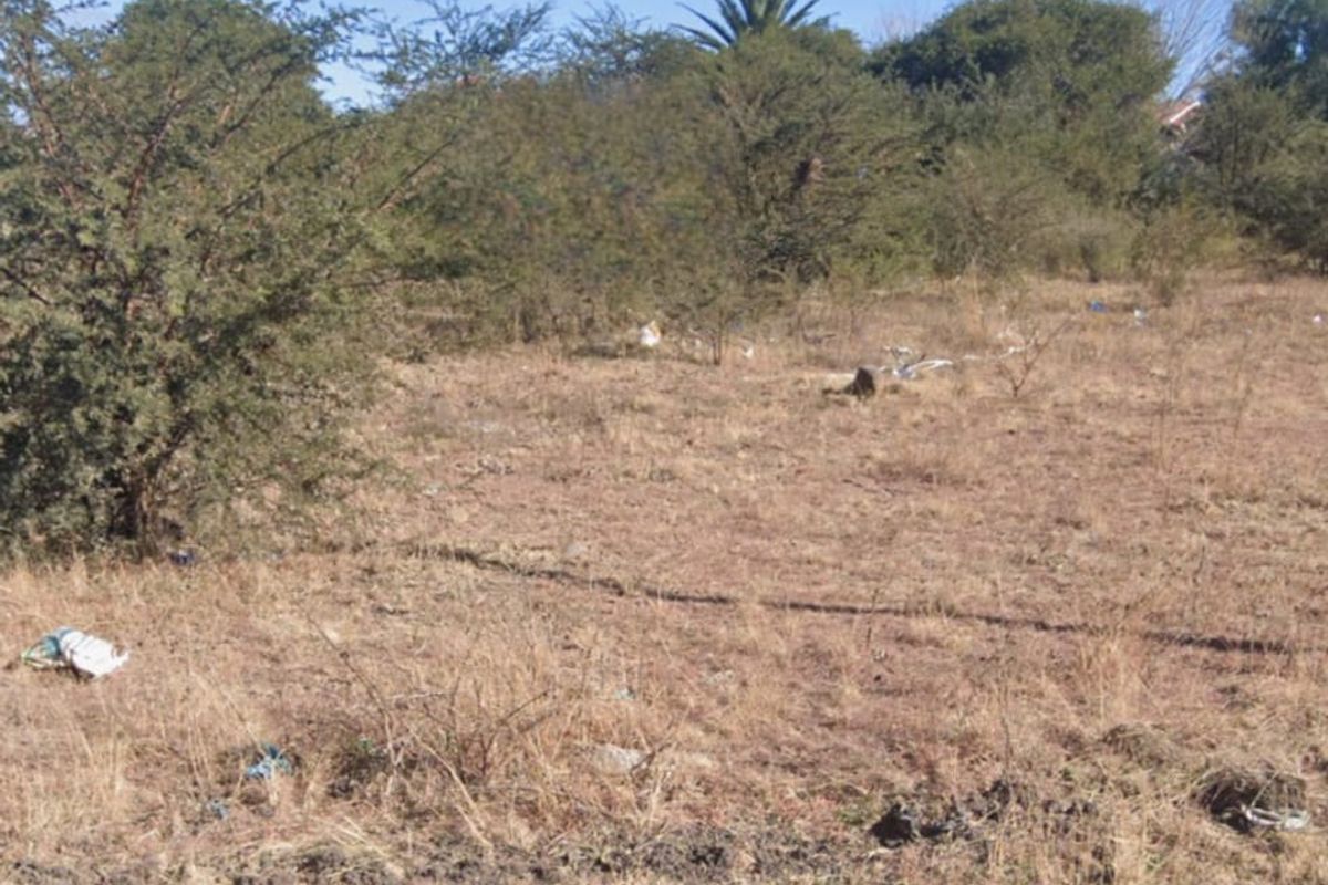 !NEW BUSINESS OPPORTUNITY! - Photo 2