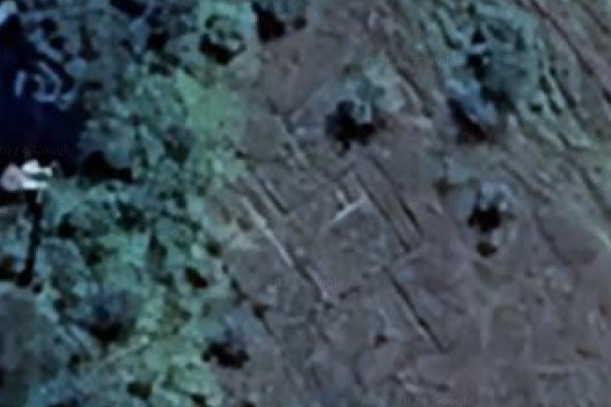 !NEW BUSINESS OPPORTUNITY! - Photo 3