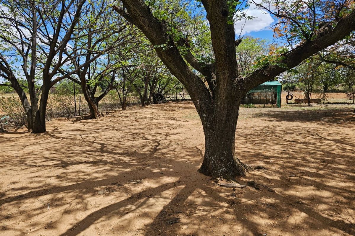 Prime 2.3 HA Plot with Spacious Home and Extra Flats for Sale in Theoville! - Photo 4