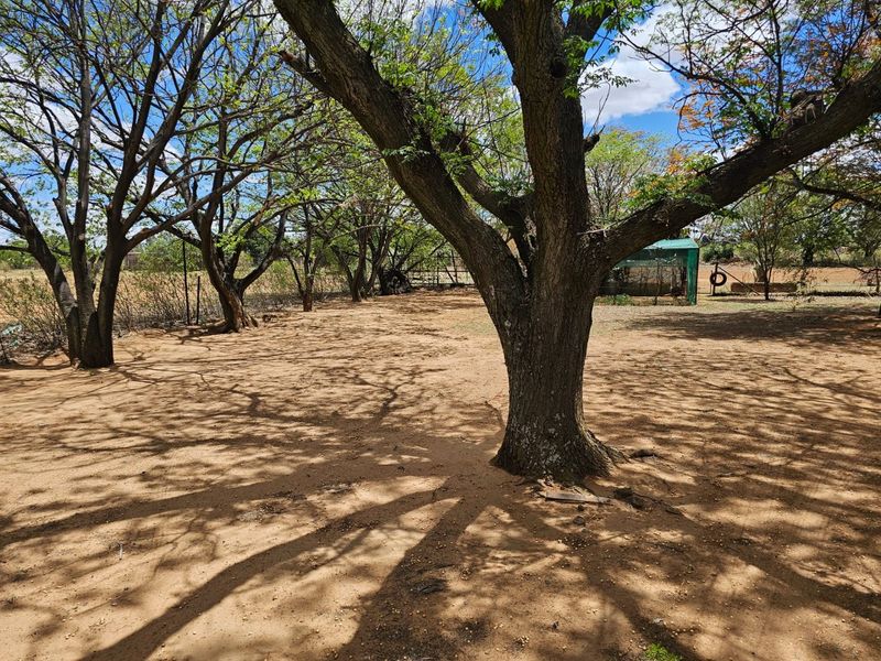 Prime 2.3 HA Plot with Spacious Home and Extra Flats for Sale in Theoville! - Photo 4