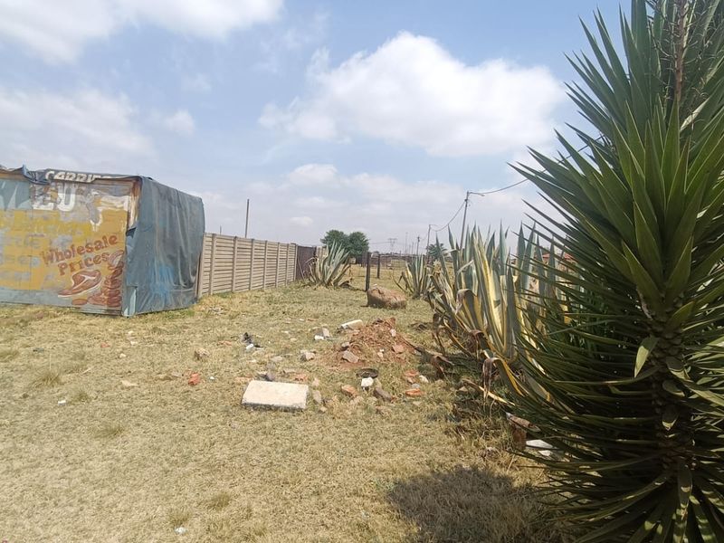 Prime +9 Hectare Investment Opportunity in a Thriving Agricultural Hub - Photo 9