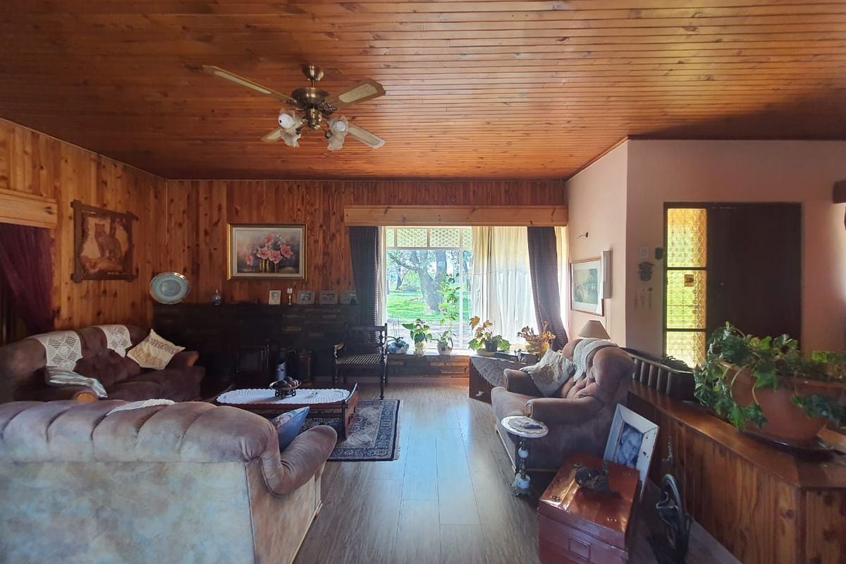 Spacious living room featuring warm timber wall paneling, a matching timber ceiling, and durable laminate flooring with large windows overlooking the garden.