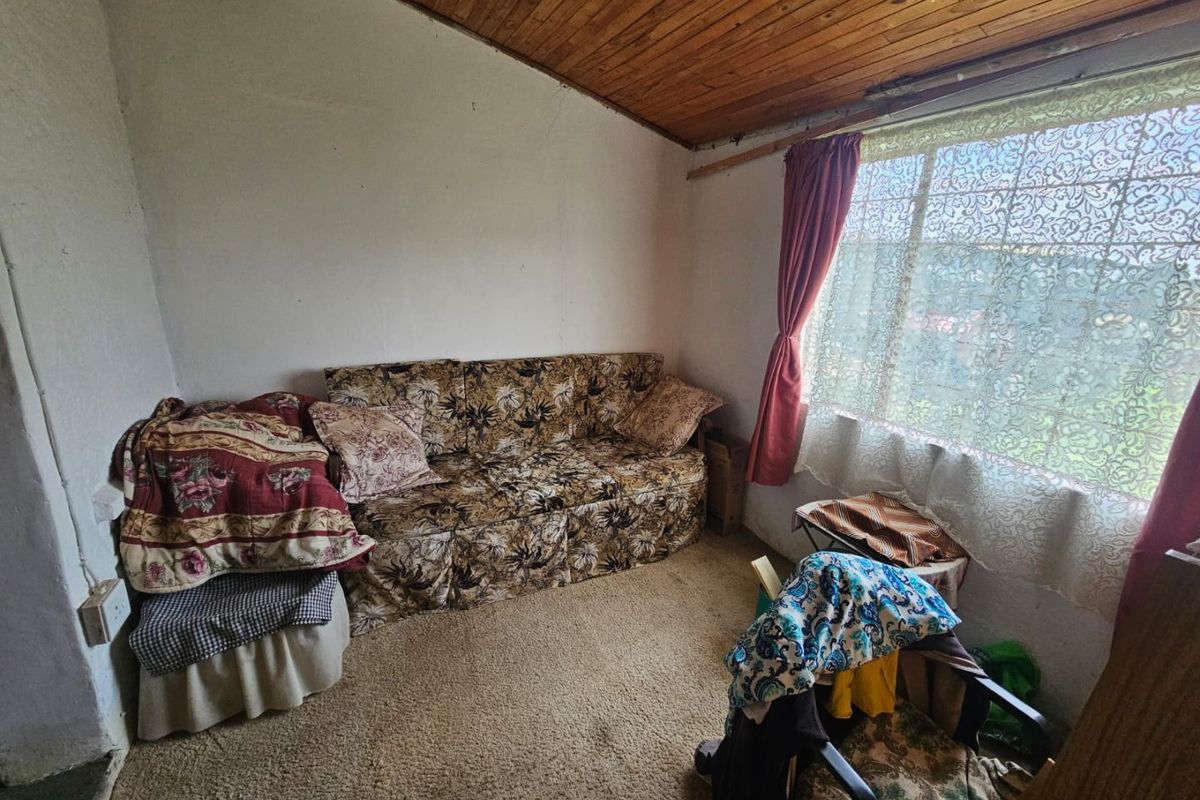 A small living room featuring a timber-clad ceiling, carpeted flooring, and a large window providing natural light.