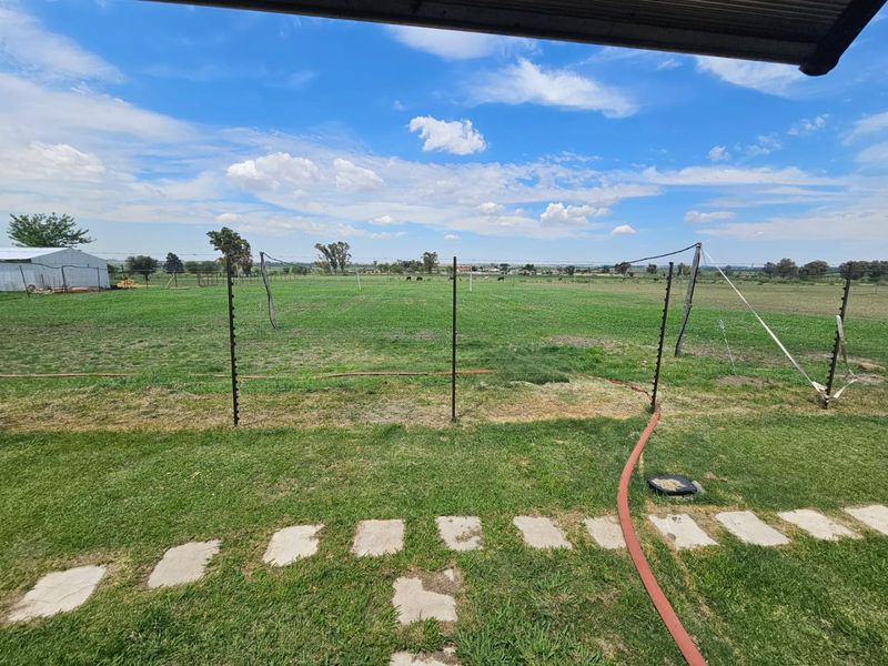 Plot for Sale in Koppies – Farming Opportunity on a Tar Road - Photo 10