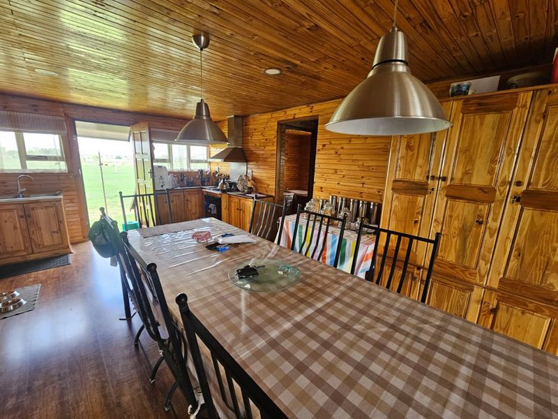 Plot for Sale in Koppies – Farming Opportunity on a Tar Road - Photo 9