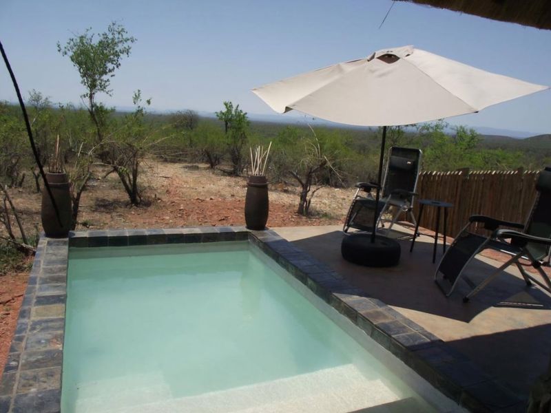 Game Farm for Sale: Prime Location Between Alldays and Musina - Photo 1
