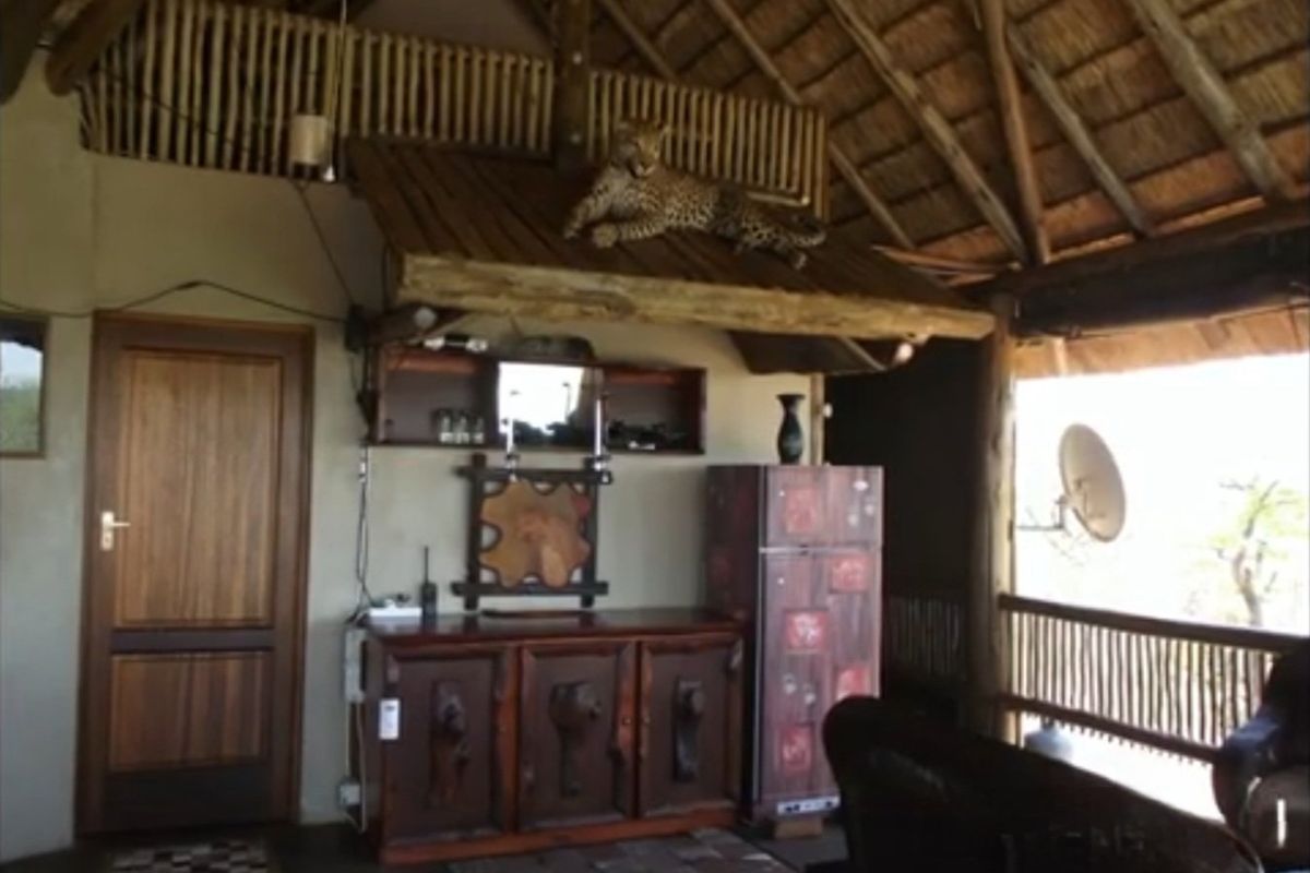 Rustic living area featuring a traditional thatched roof, exposed timber beams, and a wooden door, creating an authentic farm-style atmosphere.