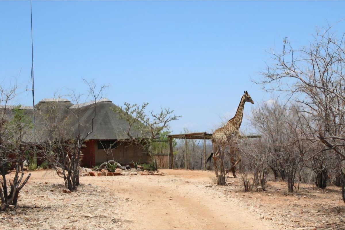 Game Farm for Sale: Prime Location Between Alldays and Musina - Photo 5